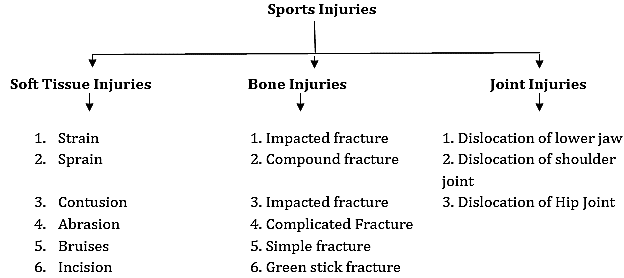 Sports Medicine Class 12 Notes Physical Education