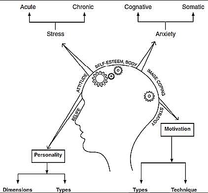 Psychology and Sports Class 12 Notes Physical Education