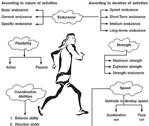 Training in Sports Class 12 Notes Physical Education