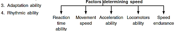 Training in Sports Class 12 Notes Physical Education