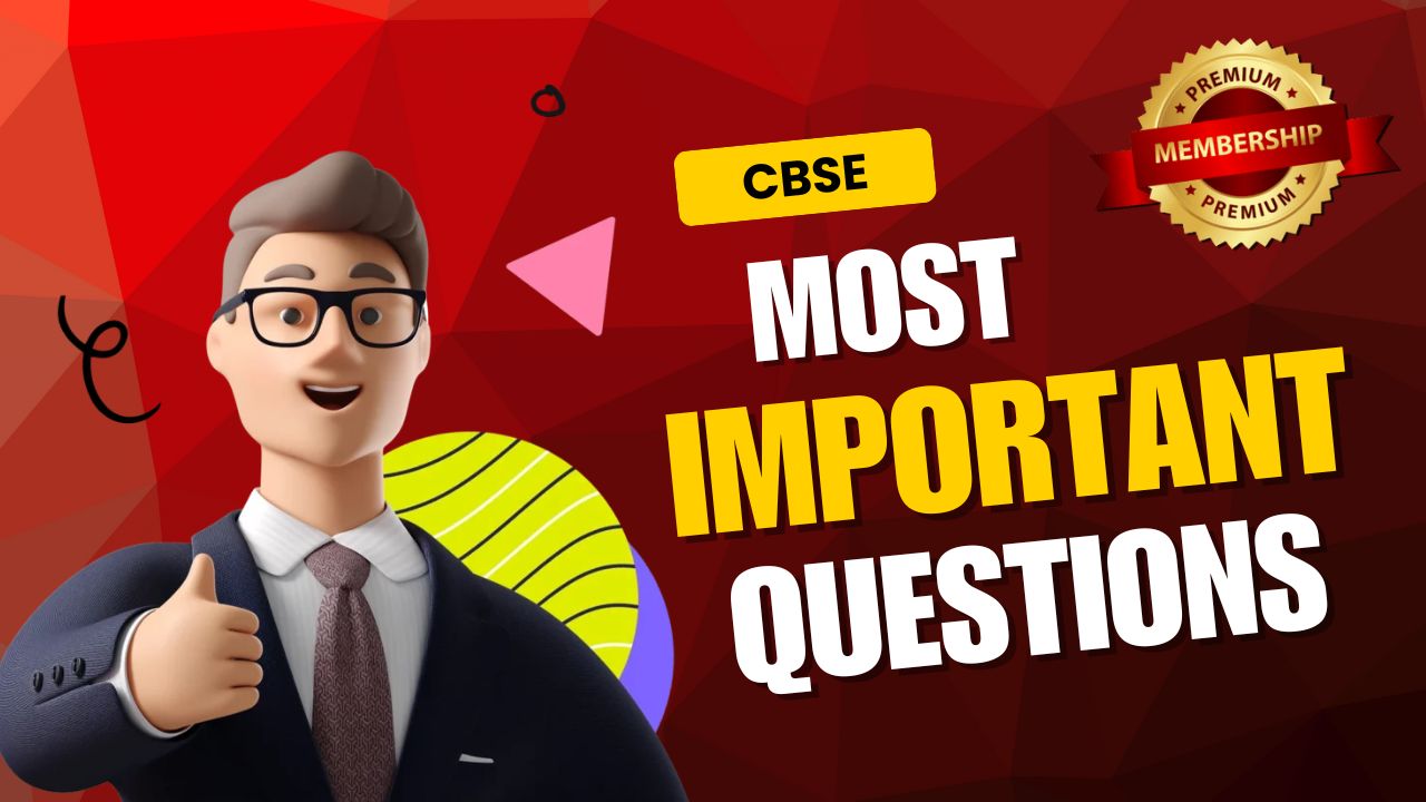 Most Important Questions