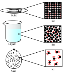 case study questions of science class 9