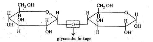 NCERT Solutions For Class 12 Chemistry Chapter 14 Biomolecules-4