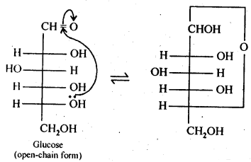 NCERT Solutions For Class 12 Chemistry Chapter 14 Biomolecules-2