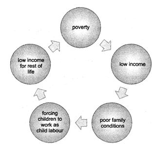 Poverty Class 12 Economics Important Questions