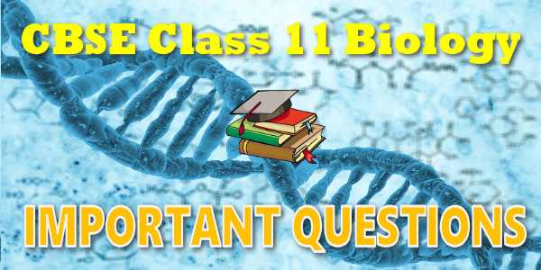 Important Questions class 11 Biology Transport in Plants