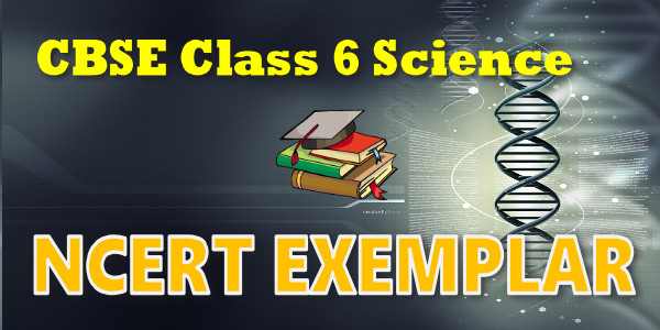 NCERT Exemplar Solutions for class 6 Science Water