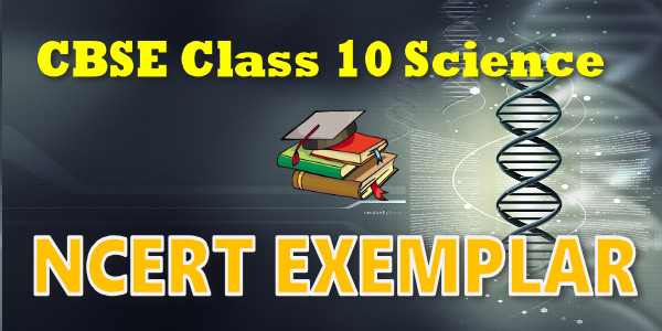 NCERT Exemplar Solutions for class 10 Science Management of Natural Resources