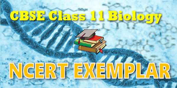 NCERT Exemplar Solutions for class 11 Biology Digestion and Absorption