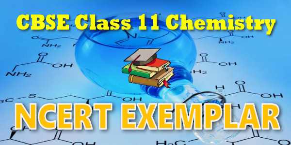 NCERT Exemplar Solutions for class 11 Chemistry Thermodynamics