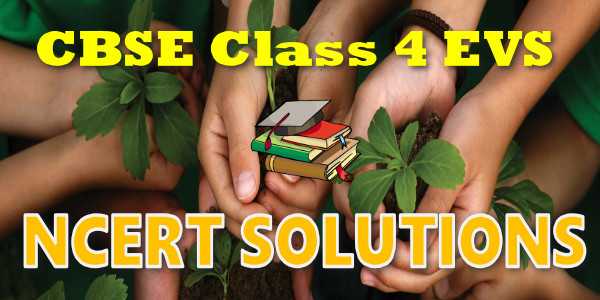 NCERT solutions for class 4 EVS