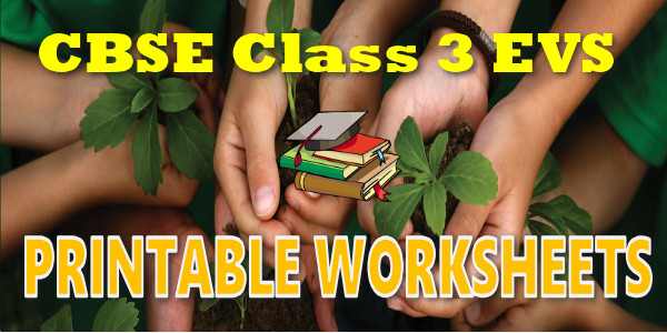 CBSE Printable Worksheets class 3 EVS Work Around Us