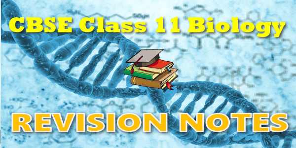 CBSE Revision Notes for class 11 Biology