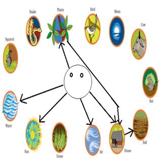 NCERT Solutions for Class 3 EVS Chapter 21 - Families Can Be Different