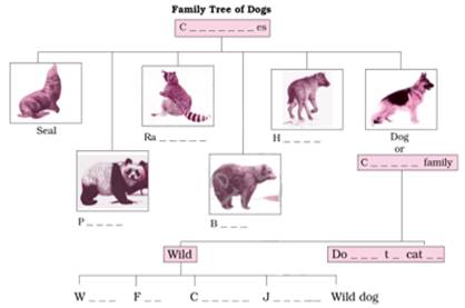 NCERT Solutions for Class 6 English How the Dog Found Himself a Master |  myCBSEguide