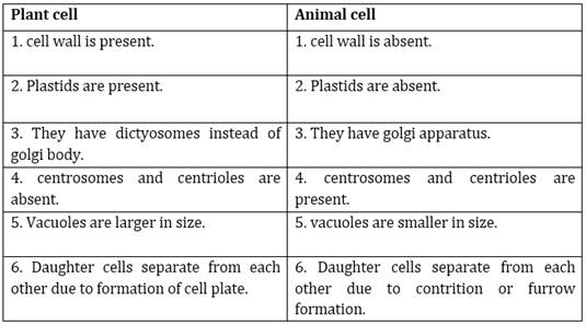 NCERT Solutions for Class 9 Science The Fundamental Unit of Life part 2