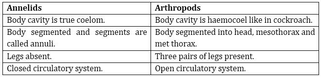 NCERT Solutions for Class 9 Science Diversity in Living Organisms part 1