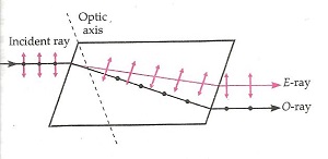 Wave Optics Class 12 Notes Physics