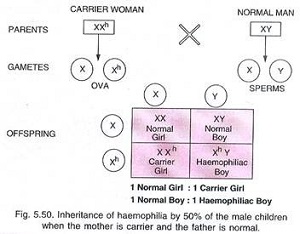 Principles of Inheritance and Variation class 12 Notes Biology