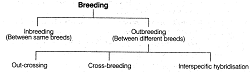 Strategies for Enhancement in Food Production class 12 Notes Biology