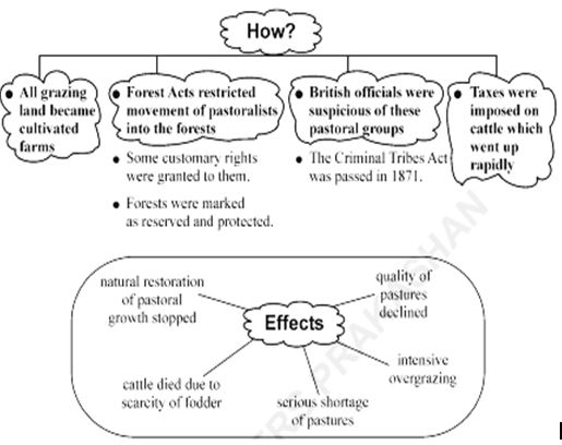 History-Pastoralists in the Modern World class 9 Notes Social Science