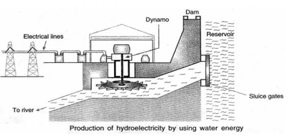 sources-of-energy-class-10-notes-science-chapter-14-mcq-questions