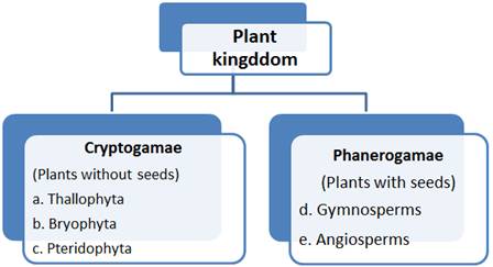 Plant Kingdom class 11 Notes Biology | myCBSEguide