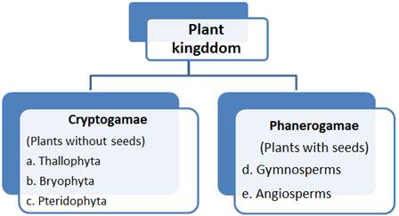 Plant Kingdom Class 11 Notes CBSE Biology Chapter 3 [PDF]