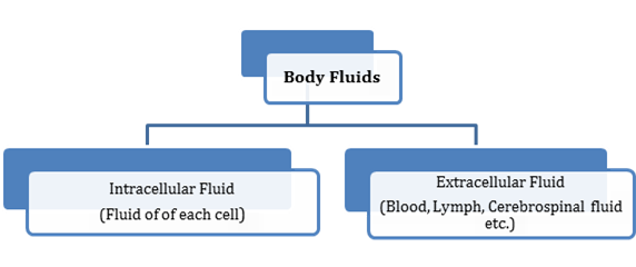 Body Fluids And Circulation class 11 Notes Biology