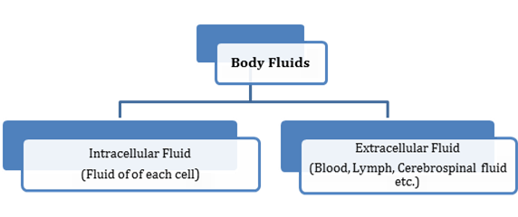 Body Fluids And Circulation Cbse Revision Notes