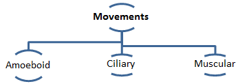 Locomotion and Movement class 11 Notes Biology