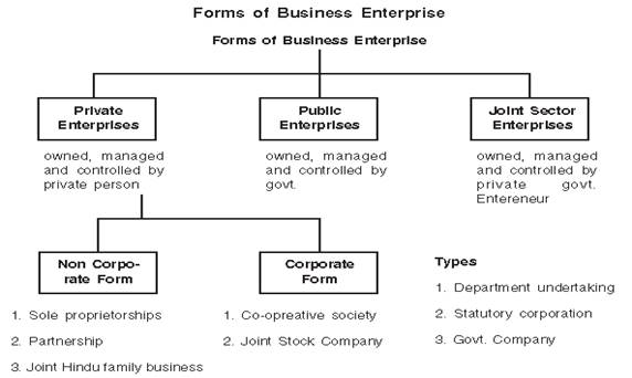 case study on forms of business organization class 11