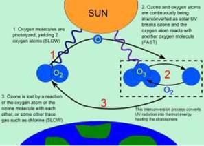 World Climate and Climate Change class 11 Notes Geography