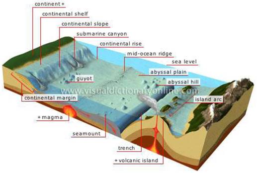 Water oceans class 11 Notes Geography