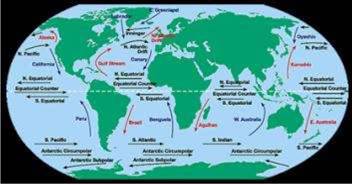 Movements of Ocean Water class 11 Notes Geography