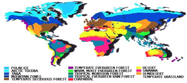 Life on the Earth Class 11 Notes Geography