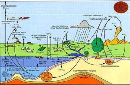 Life on the Earth Class 11 Notes Geography