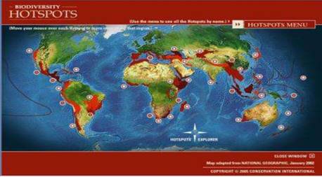 Biodiversity and Conservation class 11 Notes Geography