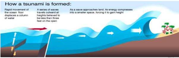 Natural Hazards and Disasters class 11 Notes Geography