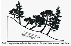 Geomorphic Processes class 11 Notes Geography