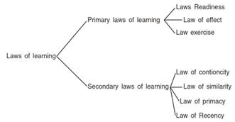 Psychology and Sports class 11 Notes Physical Education