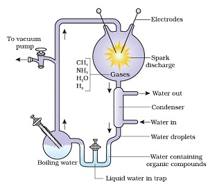 in the electric discharge experiment miller maintained a temperature of