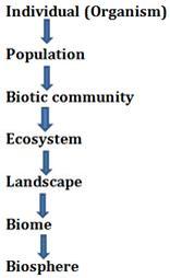 Organisms and Populations class 12 Notes Biology