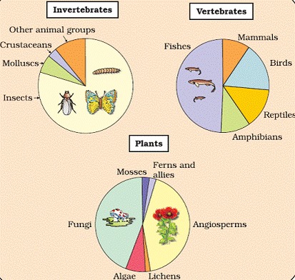 Biodiversity and Conservation class 12 Notes Biology