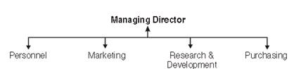 Organizing class 12 Notes Business Studies