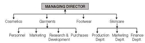 Organizing class 12 Notes Business Studies