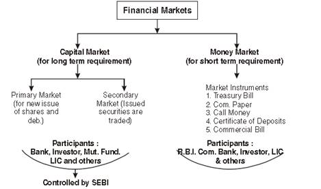 financial markets term paper topics