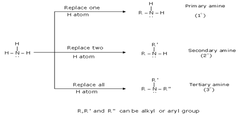 Amines Class 12 Notes Chemistry