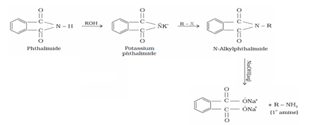 Amines Class 12 Notes Chemistry