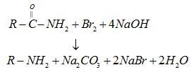 Amines Class 12 Notes Chemistry